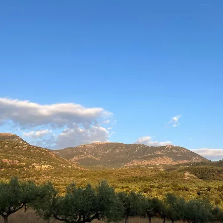 Elaionas 3