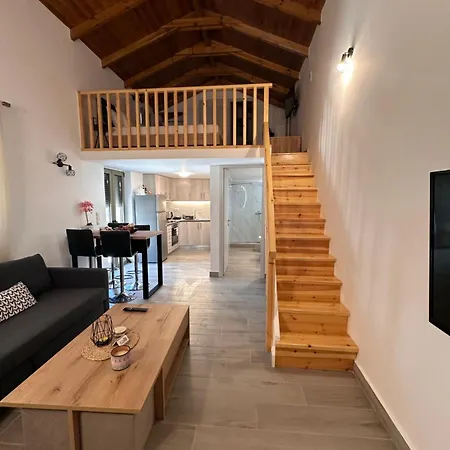 Appartamento Elaionas 3 Riglia